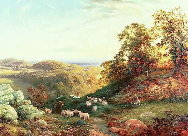 Watching the Flock - view 1