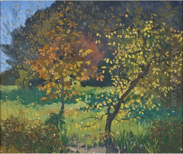 Autumn - view 1