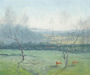 Cows In Morning Light