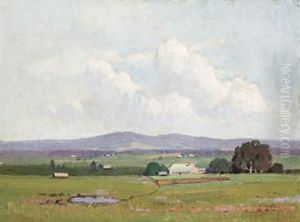 Rural Landscape, New South Wales