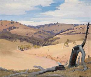 Monaro Landscape