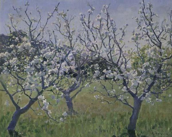 Spring In The Orchard - view 1