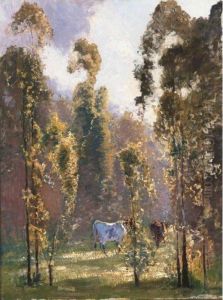 In Morning Sunlight, Richmond, New South Wales