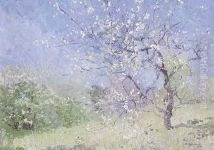 Blossoms by Elioth Gruner