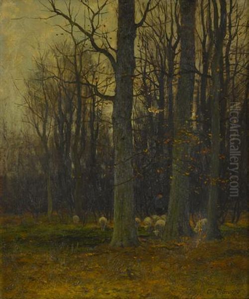 Grazing Sheep In The Woods - view 1
