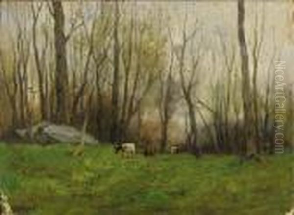Pasture In The Bronx, New York - view 1