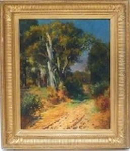 Paysage De Provence by Laurent Gsell