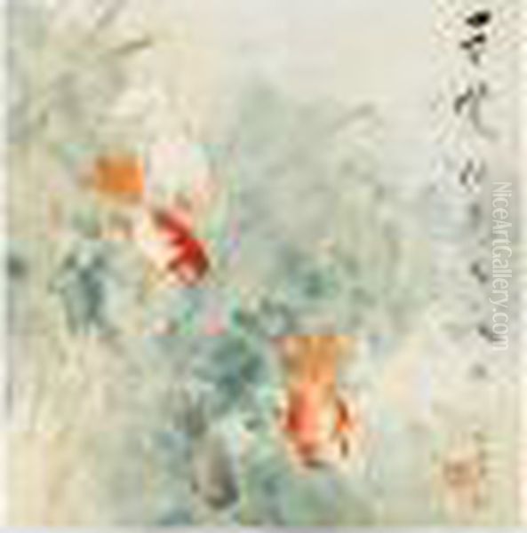 Goldfish - view 1