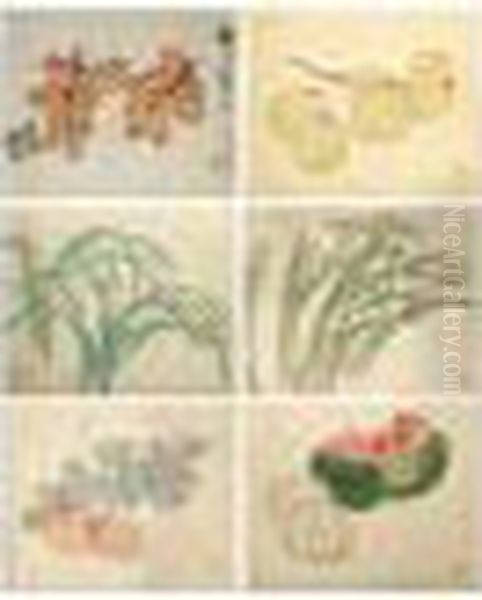 Flowers And Vegetables - view 1