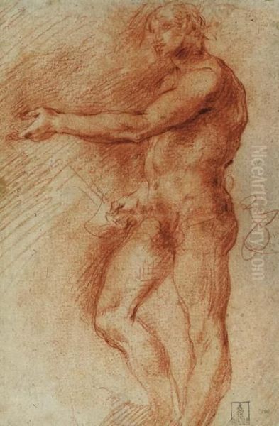 Study Of A Standing Nude - view 1