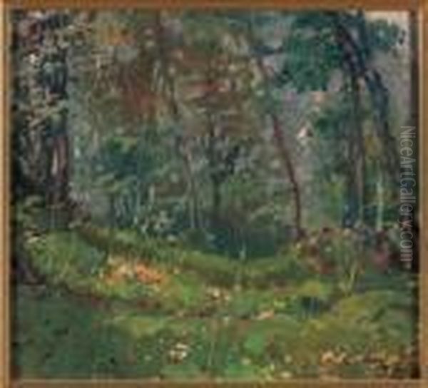 Nel Bosco - view 1