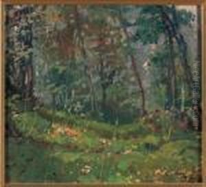 Nel Bosco Nel Bosco