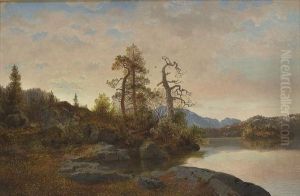 Forestal Landscapewith A Lake