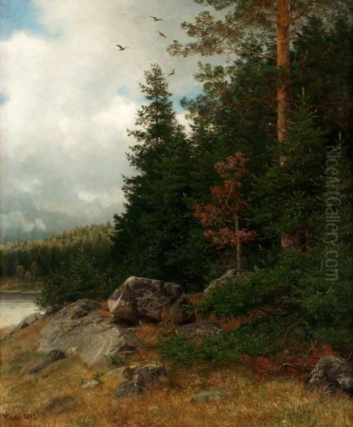 Norskt Skogslandskap - view 1