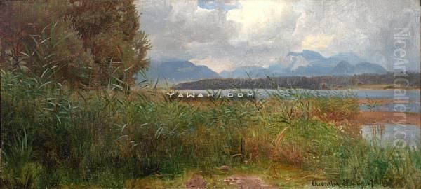Sivstudie, Chiemsee - view 1