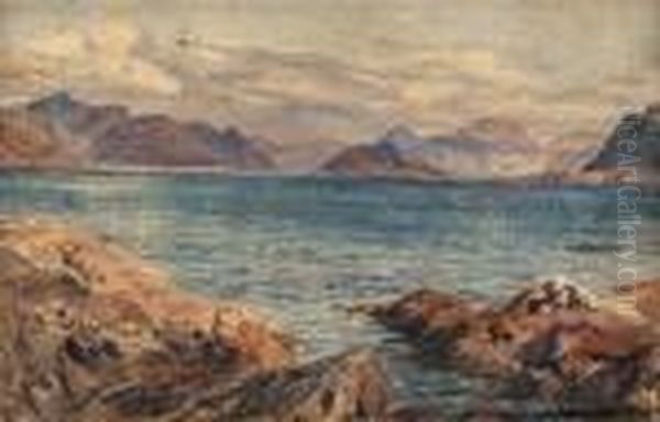 Fjordlandskap - view 1
