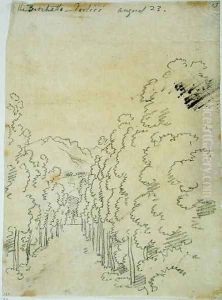 Woodland, from an album of tracings by John Robert Cozens