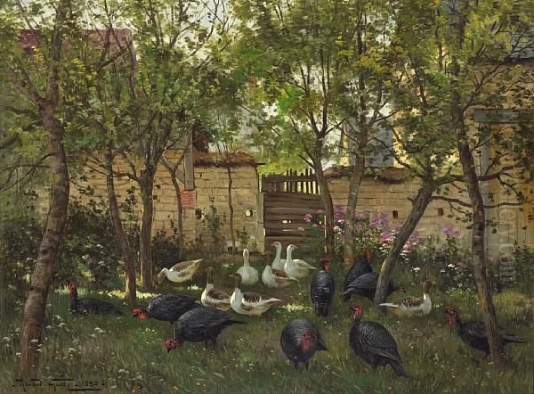Turkeys And Geese In A Garden - view 1