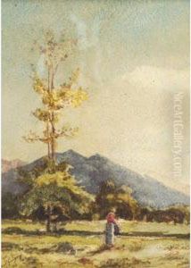 Femme Sur Un Chemin Femme Sur Un Chemin