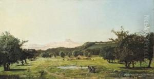 Paysage Aux Grands Arbres