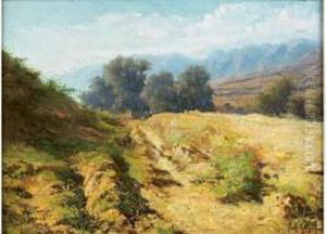 Paysage Paysage