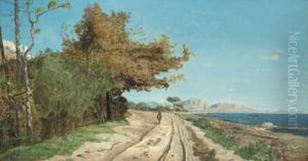 Route Au Bord De La Mediterranee, Pres De Marseille - view 1