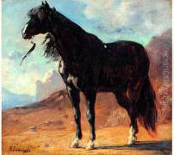 Portrait De Cheval Arabe - view 1
