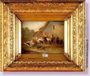 Coq, Poules Et Canards Dans La Basse-cour by Claude Guilleminet
