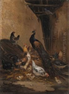 Huhnerhof Mit Pfau Und Ente by Claude Guilleminet