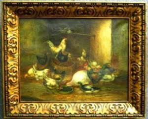 Galline Nel Pollaio