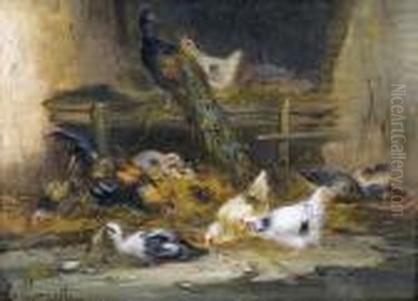 Pfau Mit Huhnern Und Enten In Einem Stall. - view 1