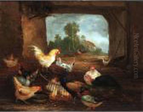 Farmyard Birds - view 1