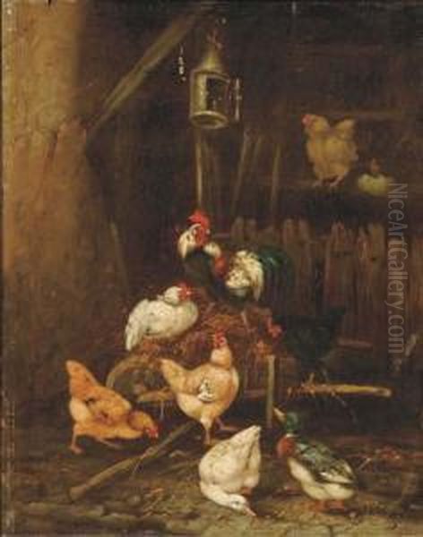 In The Hen House - view 1