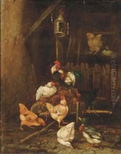 In The Hen House by Claude Guilleminet