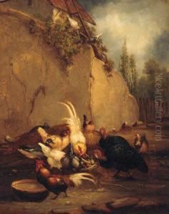 Chickens And Turkeys In A Farmyard by Claude Guilleminet