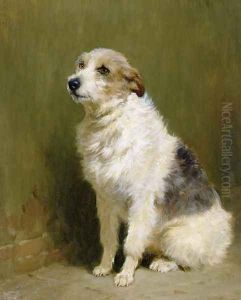 Portrait of Pilu, a Performing Dog, 1910 by John Charlton