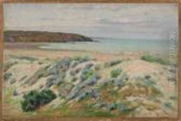 Dunes En Bord De Mer - view 1
