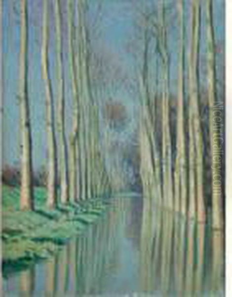 Reflets De Peupliers Dans Le Canal - view 1