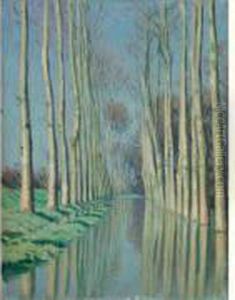 Reflets De Peupliers Dans Le Canal