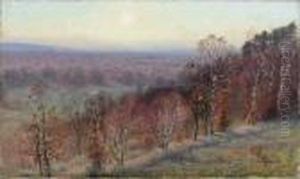 Foret, Matin D'hiver Foret, Matin D'hiver
