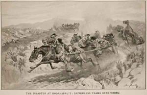 The Disaster at Koornspruit Driverless Teams Stampeding by John Charlton