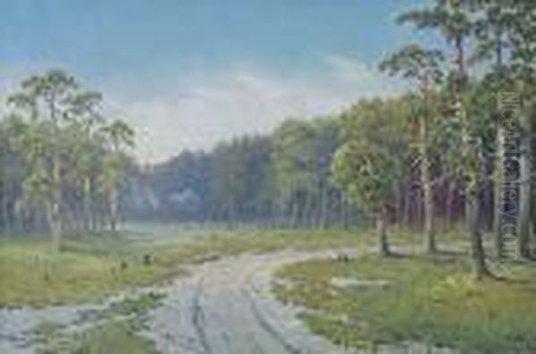 Wnetrze Lasu - view 1