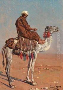 Chamelier Dans Le Desert