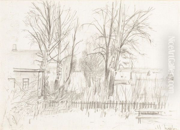 Autumn Alley - view 1