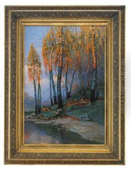 Birch Trees In The Evening Light - view 1