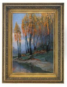 Birch Trees In The Evening Light