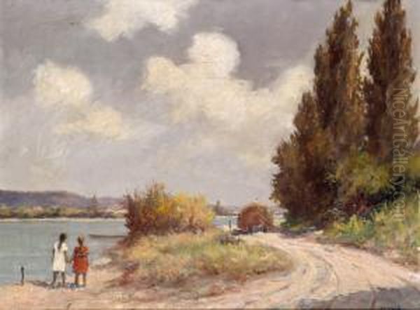 Dunaparton - view 1