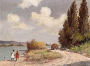 Dunaparton