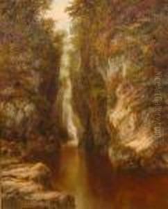 Stream In Chasm Stream In Chasm