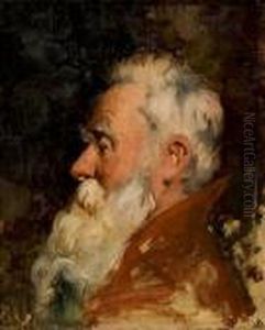 Head Of Man With Beard